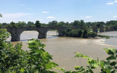 How much for that bridge?